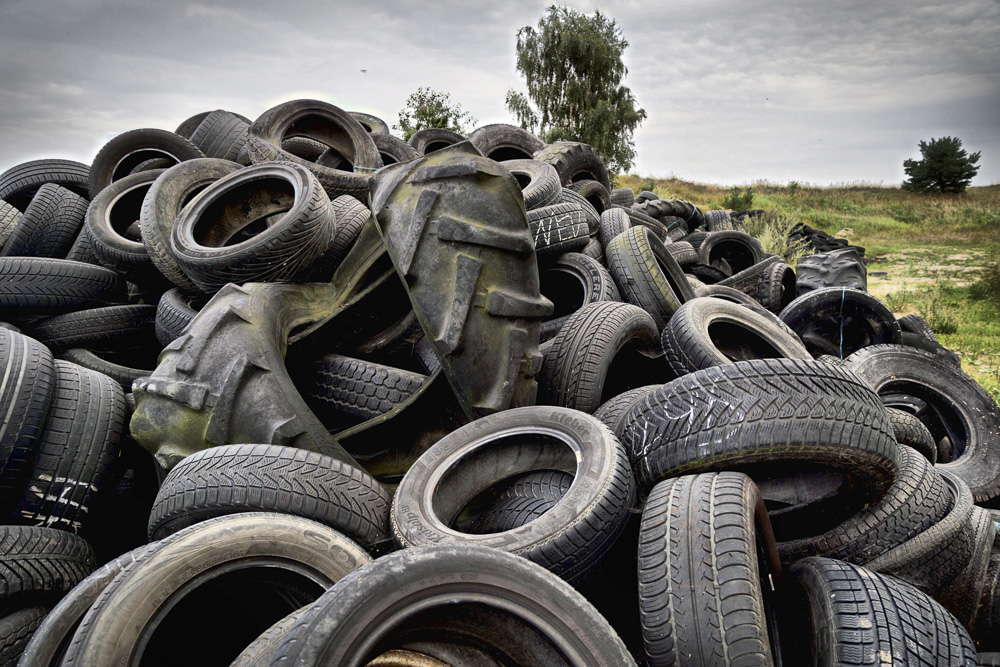 7. Platz Harald Unglert